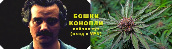 ГАЛЛЮЦИНОГЕННЫЕ ГРИБЫ Рославль
