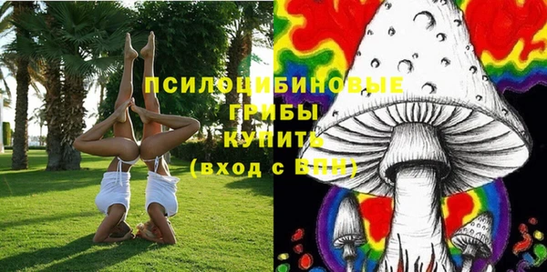 молекула духа Алексеевка