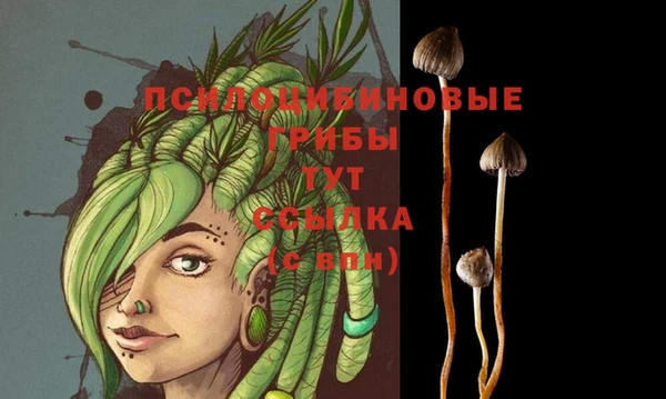 молекула духа Алексеевка